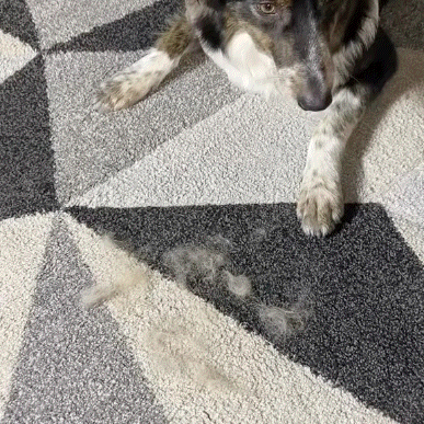 FurSweep™ Pet Hair Glove